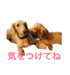 Haru＆Tsuru（個別スタンプ：10）