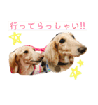 Haru＆Tsuru（個別スタンプ：23）