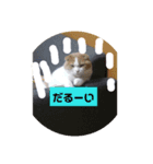 ねこの日常から（個別スタンプ：2）