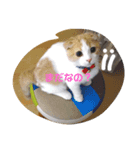 ねこの日常から（個別スタンプ：8）