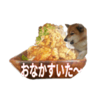 まったり柴犬のスタンプ第3だん（個別スタンプ：11）