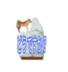 まったり柴犬のスタンプ第3だん（個別スタンプ：14）