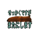 まったり柴犬のスタンプ第3だん（個別スタンプ：16）