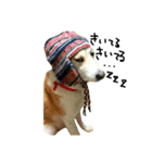 ゆる犬ふく（個別スタンプ：10）