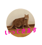 茶色のご挨拶（個別スタンプ：1）