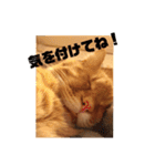 茶色のご挨拶（個別スタンプ：3）