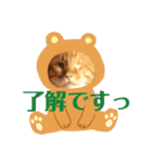 茶色のご挨拶（個別スタンプ：9）