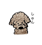 Portuguese Water Dog のバルーとメイ（個別スタンプ：3）