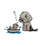 Portuguese Water Dog のバルーとメイ（個別スタンプ：4）