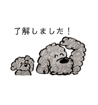Portuguese Water Dog のバルーとメイ（個別スタンプ：6）