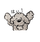 Portuguese Water Dog のバルーとメイ（個別スタンプ：12）