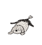 Portuguese Water Dog のバルーとメイ（個別スタンプ：16）
