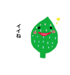 はっぱっぱ（個別スタンプ：13）