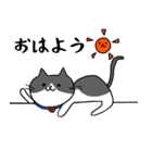 ねこくんのevery day（個別スタンプ：1）