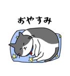 ねこくんのevery day（個別スタンプ：2）