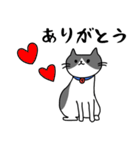 ねこくんのevery day（個別スタンプ：3）