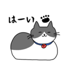 ねこくんのevery day（個別スタンプ：7）