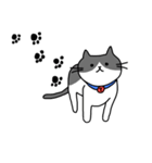 ねこくんのevery day（個別スタンプ：11）