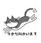 ねこくんのevery day（個別スタンプ：12）