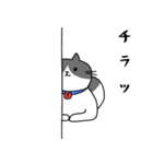 ねこくんのevery day（個別スタンプ：14）