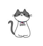 ねこくんのevery day（個別スタンプ：16）