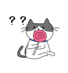 ねこくんのevery day（個別スタンプ：17）