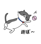 ねこくんのevery day（個別スタンプ：18）