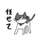 ねこくんのevery day（個別スタンプ：21）