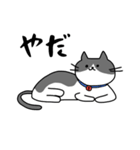ねこくんのevery day（個別スタンプ：24）