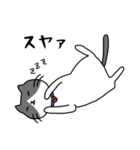 ねこくんのevery day（個別スタンプ：25）