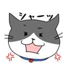 ねこくんのevery day（個別スタンプ：26）