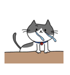 ねこくんのevery day（個別スタンプ：29）