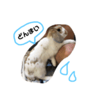 ぐみちゃん大好き（個別スタンプ：1）