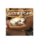 ぐみちゃん大好き（個別スタンプ：4）