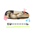 ぐみちゃん大好き（個別スタンプ：5）