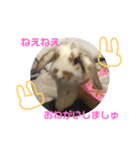 ぐみちゃん大好き（個別スタンプ：9）