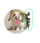 ぐみちゃん大好き（個別スタンプ：11）