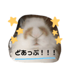 ぐみちゃん大好き（個別スタンプ：13）