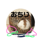 ぐみちゃん大好き（個別スタンプ：14）