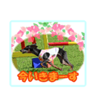 ミニチュアピンシャーの日常会話（個別スタンプ：19）