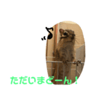 シマリス どんぐり（個別スタンプ：9）