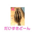 シマリス どんぐり（個別スタンプ：10）