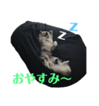 居酒屋 永井（個別スタンプ：10）