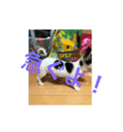 犬のピノ2（個別スタンプ：8）