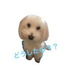 マルックスのパンナくん。（個別スタンプ：2）
