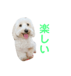 マルックスのパンナくん。（個別スタンプ：15）