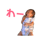 SANIKAスタンプ2（個別スタンプ：16）