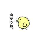 ちびひよこ（個別スタンプ：11）