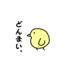 ちびひよこ（個別スタンプ：40）