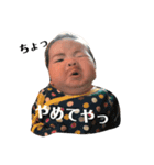 せいとボン（個別スタンプ：11）